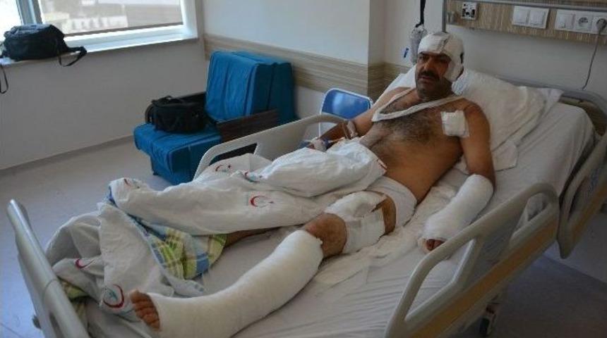 Ayı Saldırısına Uğrayan Balık&ccedil;ılar Olay Anını Anlattı