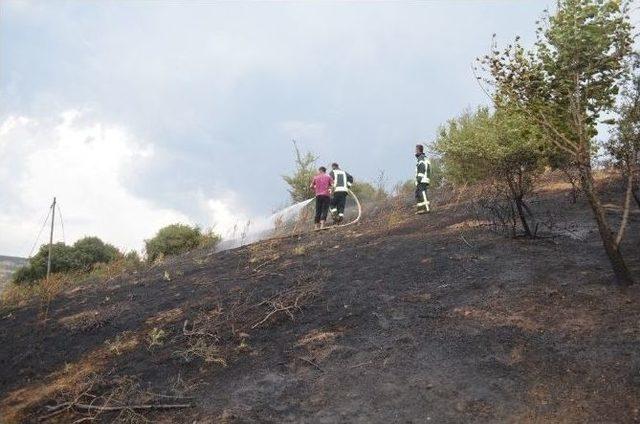 Kula’da Orman Yangını Büyümeden Söndürüldü