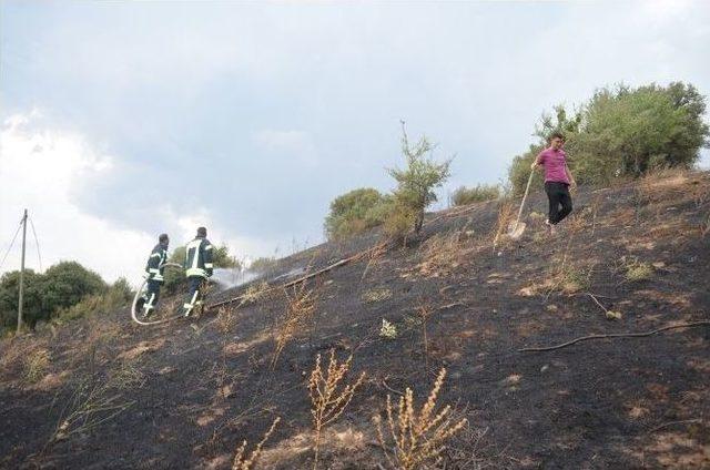 Kula’da Orman Yangını Büyümeden Söndürüldü