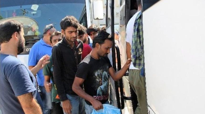 Bodrum&rsquo;da 239 Ka&ccedil;ak M&uuml;lteci Yakalandı