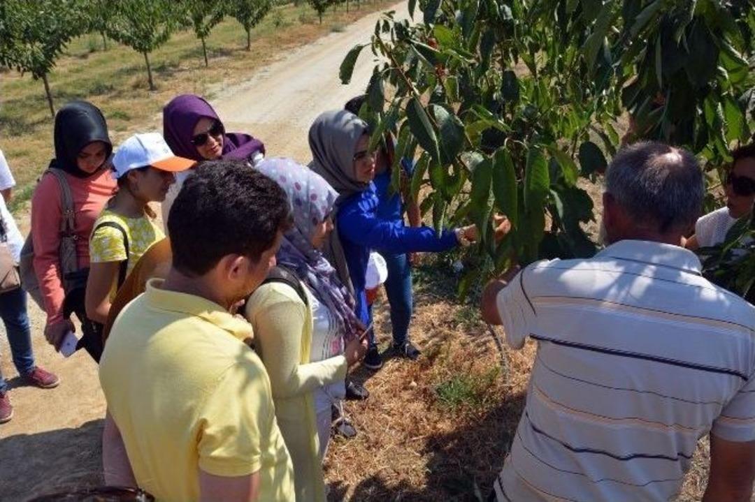 &Uuml;niversite &Ouml;ğrencileri Uygulamalı Tarımı &Ouml;ğrendi