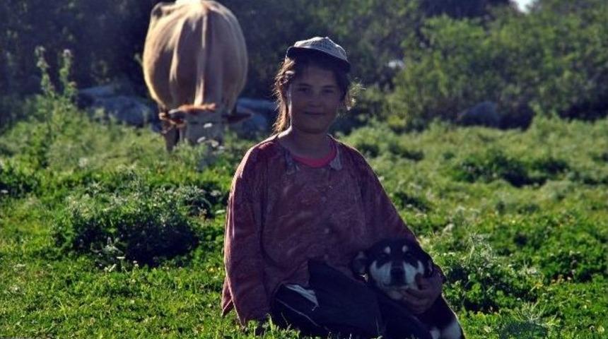 Tatilini &Ccedil;obanlık Yaparak Ge&ccedil;iriyor