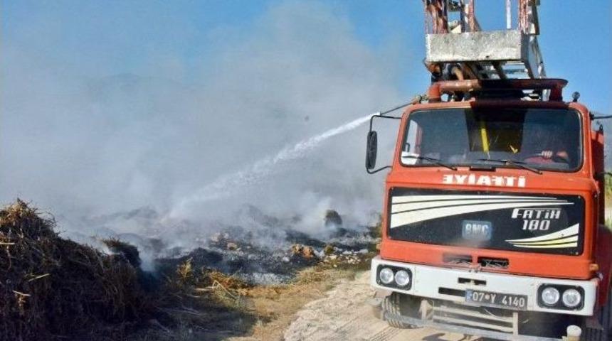 Antalya&rsquo;da Sazlık Alanda Yangın &Ccedil;ıktı