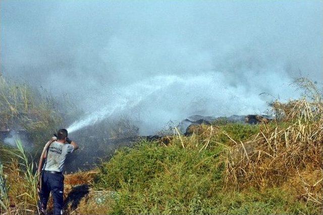 Antalya’da Sazlık Alanda Yangın Çıktı