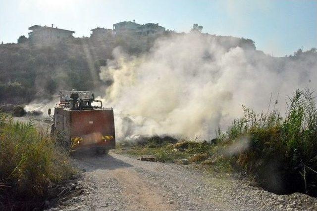 Antalya’da Sazlık Alanda Yangın Çıktı