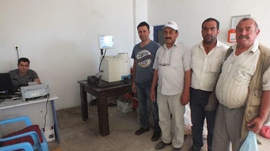 Malazgirt&rsquo;te Tmo Buğday Alımını S&uuml;rd&uuml;r&uuml;yor