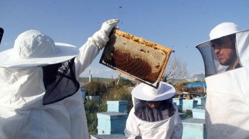 Evliyaoğlu: "ardahan&rsquo;da Bal Rekoltesi Y&uuml;zde 40 Azaldı"