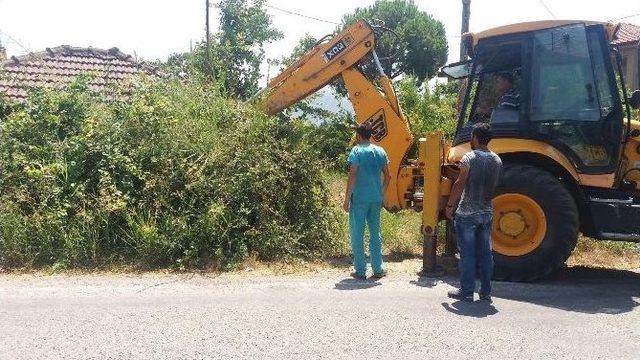 Muğla’da Sulama Kanalına Sıkışan Köpekler Kurtarıldı