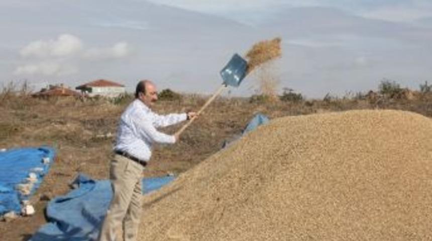 &Uuml;reticiye Alternatif &Uuml;r&uuml;n Desteği