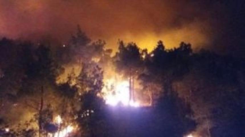 &Ccedil;orum&rsquo;da 55 Hektar Orman Yandı