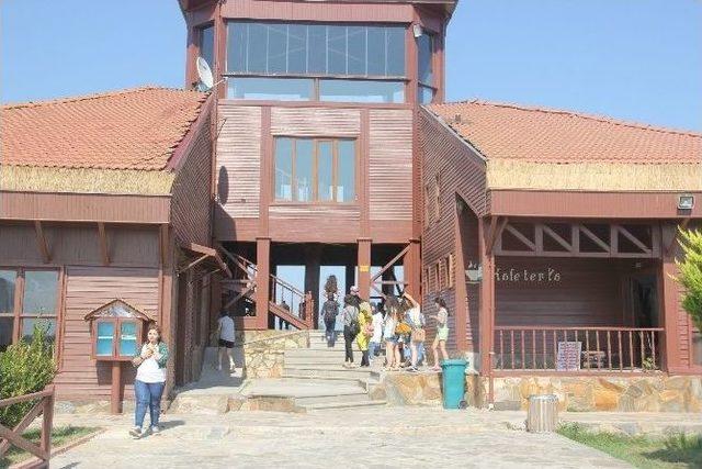 Bitlis, Manisa Ve Uşaklı Gençler Samsun’da