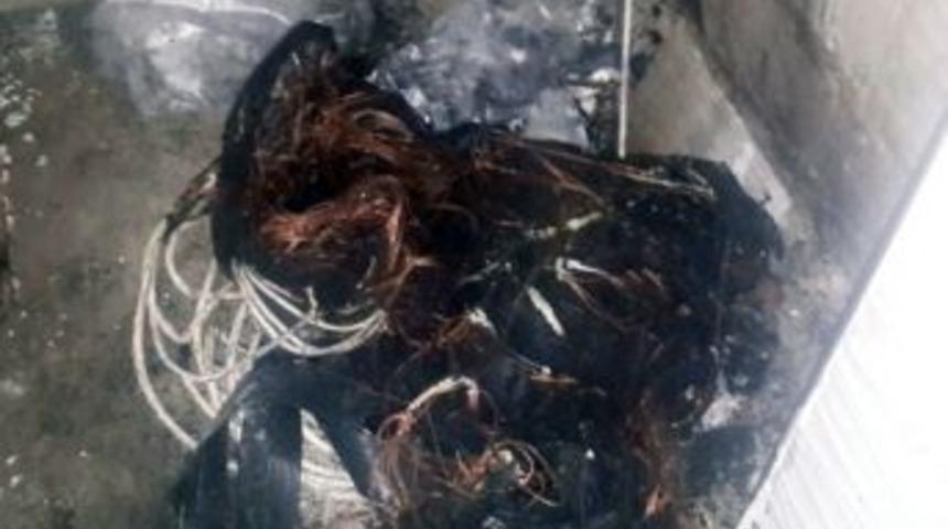 Elektrik Kablolarını &Ccedil;almak İstediler