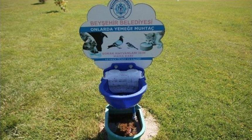 Beyşehir Belediyesi Sokak Hayvanları İ&ccedil;in Kap
