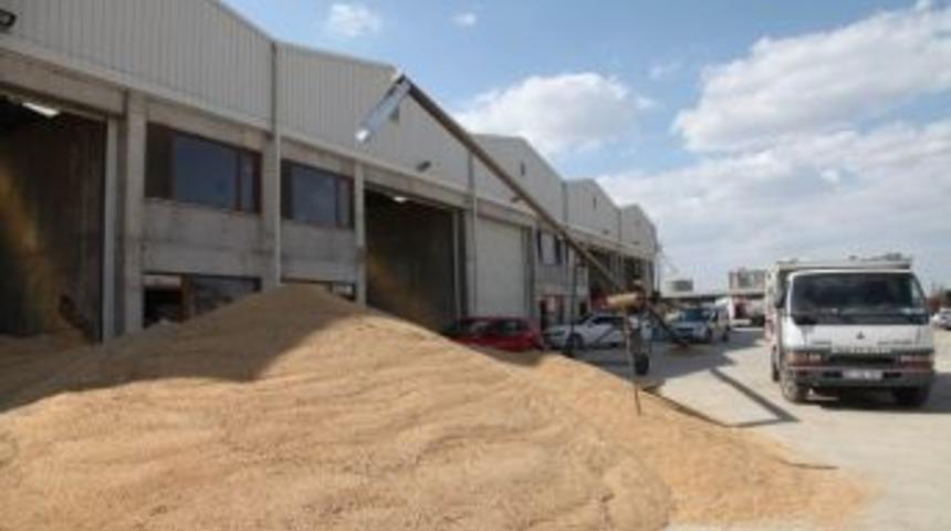 Seydişehir’de Hububat Borsası’nda Alımlar Devam Ediyor