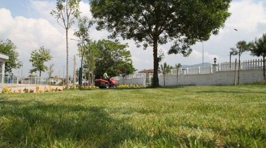 Başiskele&rsquo;de &Ccedil;evre D&uuml;zenleme &Ccedil;alışmaları Devam Ediyor