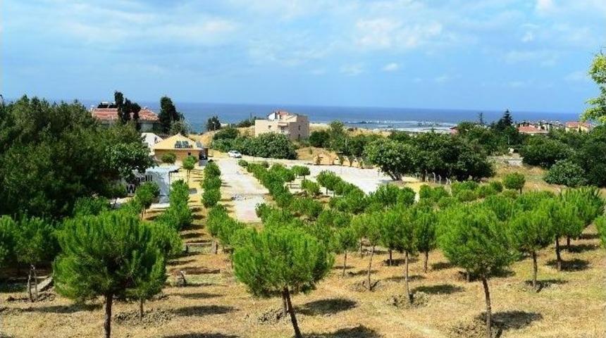 Minik İzciler Beylikd&uuml;z&uuml;&rsquo;nde Kamp Kuracak