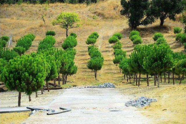 Minik İzciler Beylikdüzü’nde Kamp Kuracak