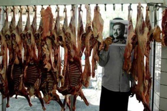  Saddam Burada  sergisi 1