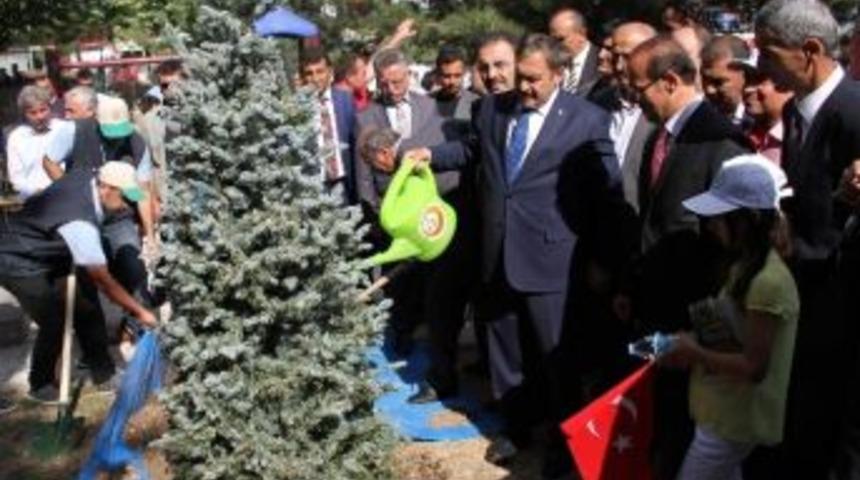 Bakan Eroğlu: "&ccedil;ıkan Bin 733 Orman Yangınında 6 Bin 659 Hektar Alan Yandı&rdquo;