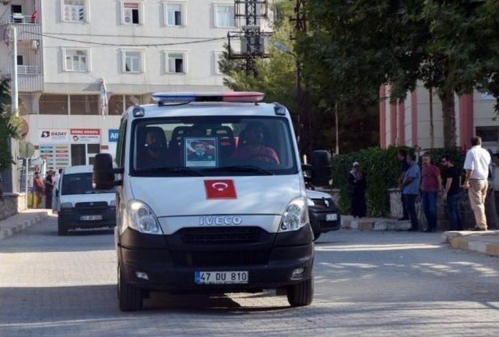 Nusaybin Şehidi Memleketine Uğurlandı G1