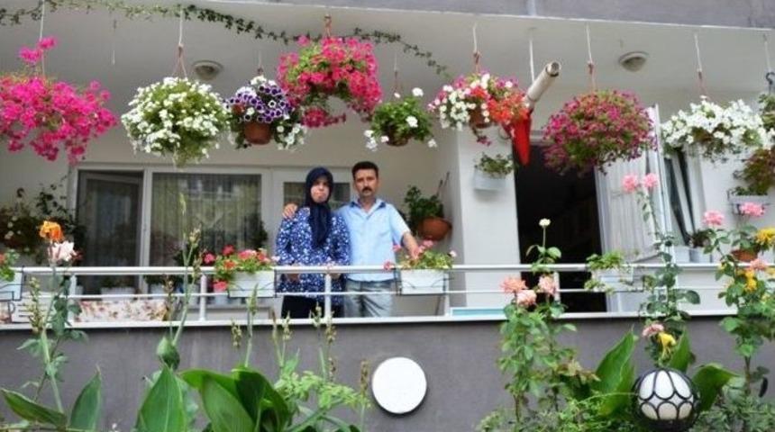 En G&uuml;zel &Ccedil;i&ccedil;ekli Balkonlar Se&ccedil;ildi