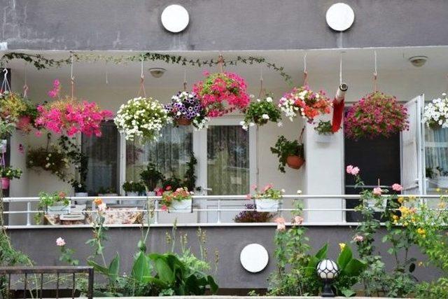 En Güzel Çiçekli Balkonlar Seçildi