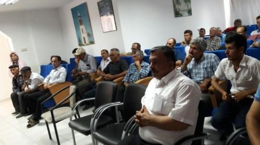 Bilecik&rsquo;te Damızlık Ko&ccedil; Dağıtımı