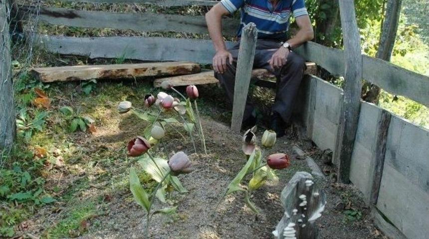 Babanın İnanılmaz Hukuk M&uuml;cadelesi