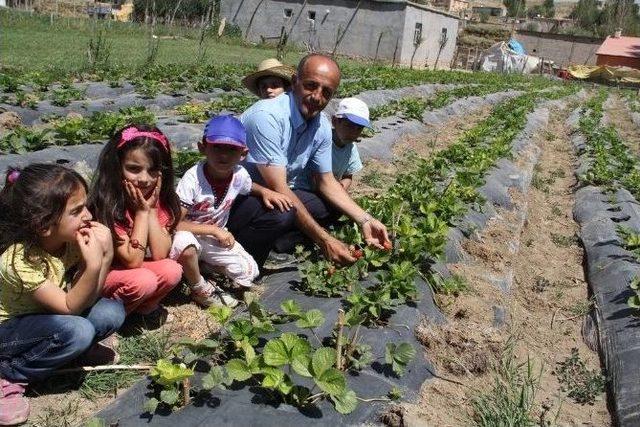 Başkale’de 