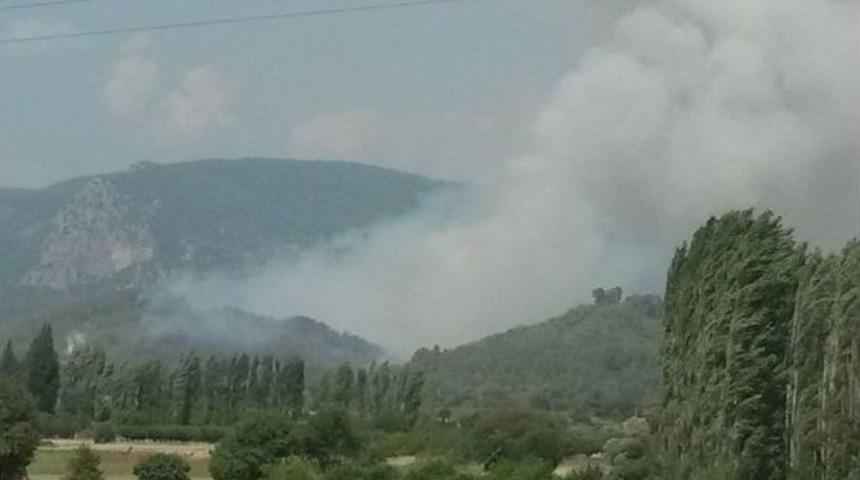 Muğla&rsquo;da Orman Yangını