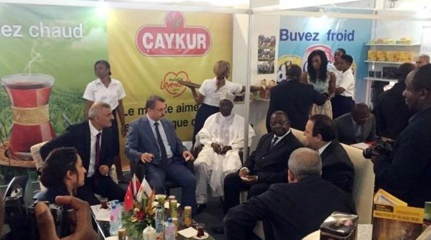 Fildişi Sahilleri Ve Kamerun &Ccedil;aykur&rsquo;la Tanıştı