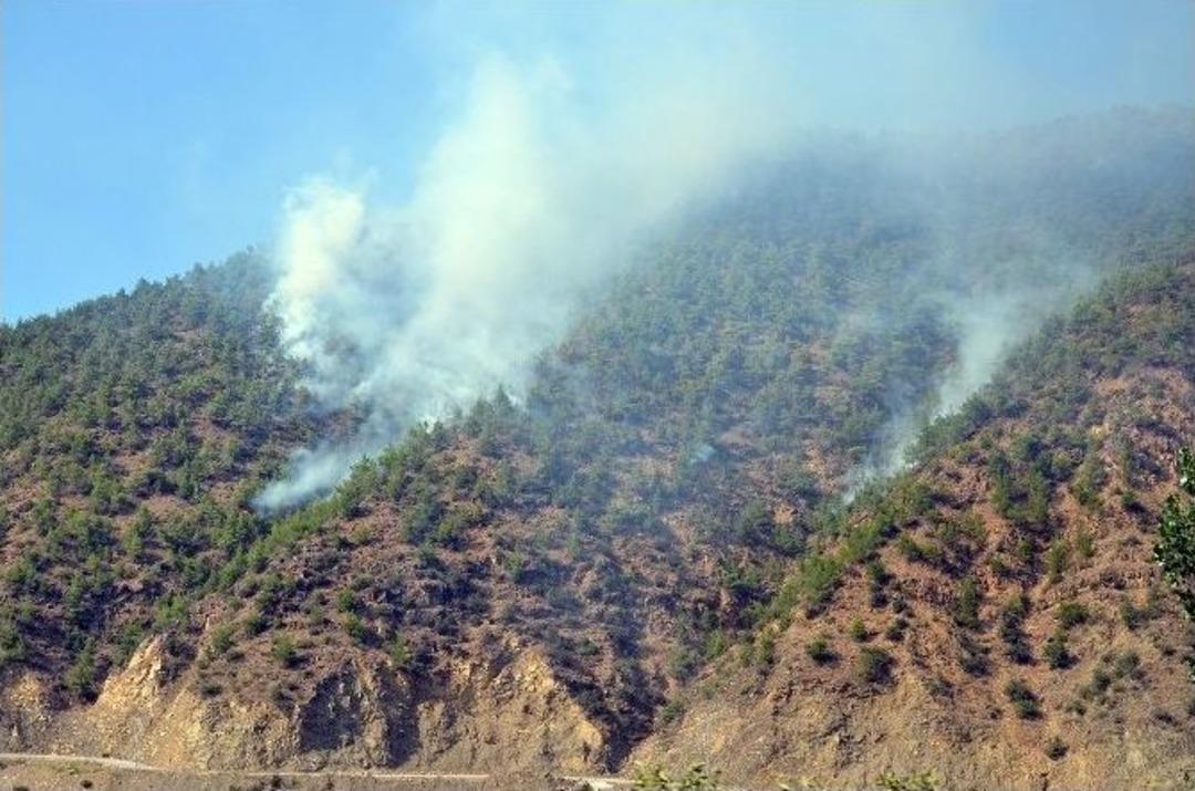 &Ccedil;orum&rsquo;da 3 G&uuml;n &Ouml;nce Başlayan Yangın Kontrol Altına Alındı
