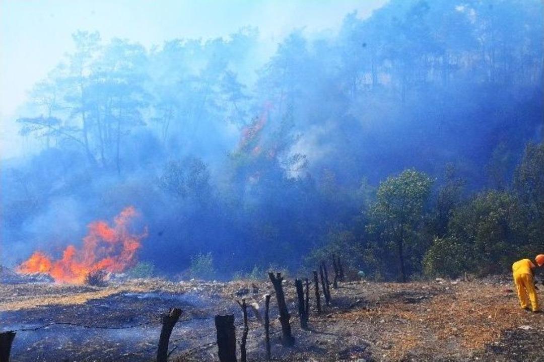 Muğla&rsquo;daki Orman Yangını Kontrol Altına Alınamıyor
