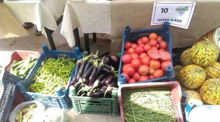 "urla Geleneksel Bağbozumu Şenlikleri" Başladı