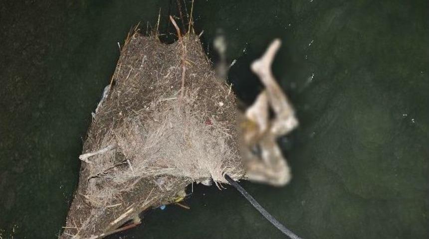 Sulama Kanalında Erkek Cesedi Bulundu