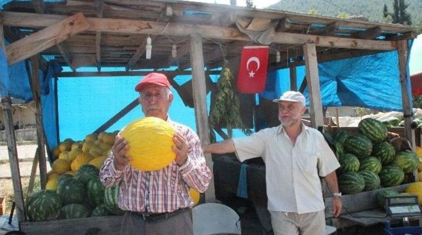 Osmaneli&rsquo;nde Yerli Karpuz Ve Kavun Satışları &Ccedil;ift&ccedil;inin Y&uuml;z&uuml;n&uuml; G&uuml;ld&uuml;rd&uuml;