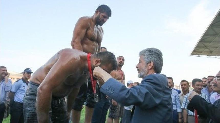 Sincan Yağlı G&uuml;reşleri&rsquo;nin Başpehlivanı Şaban Yılmaz Oldu