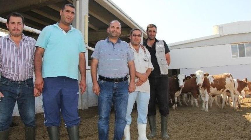 Malatyalı Girişimci İşletmesinde Sadece Suriyelileri &Ccedil;alıştırıyor