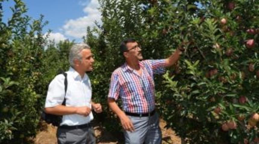 Eğirdir&rsquo;den &Uuml;lke Ekonomisine 400 Milyon Lira Katma Değer