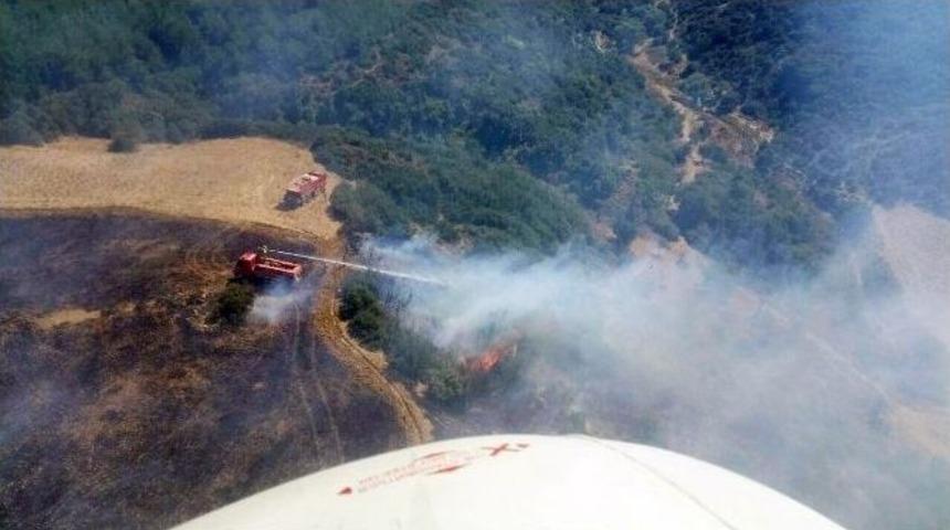 &Ccedil;anakkale&rsquo;de Orman Yangını