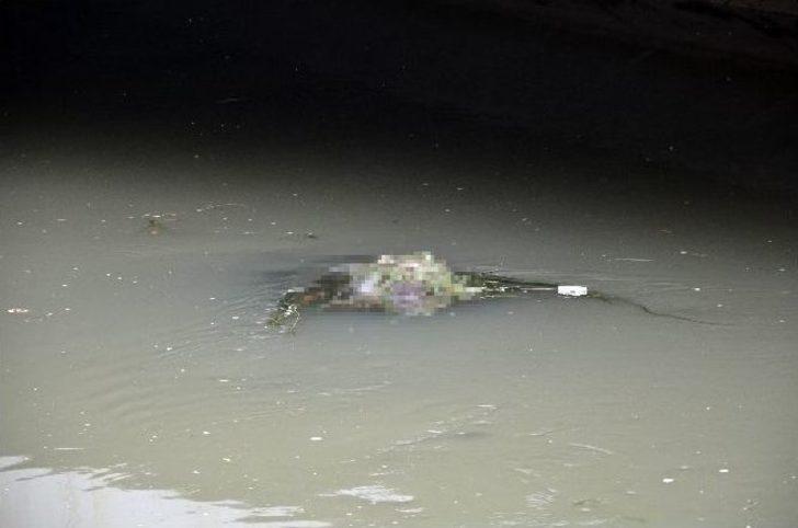 9 Gündür Kayıp Olan Genç Ölü Bulundu G1