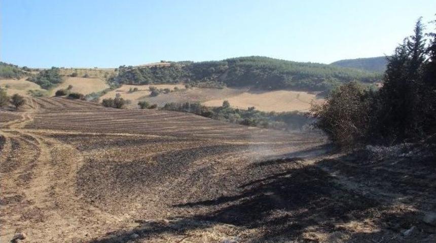 &Ccedil;anakkale&rsquo;deki Orman Yangını S&ouml;nd&uuml;r&uuml;ld&uuml;