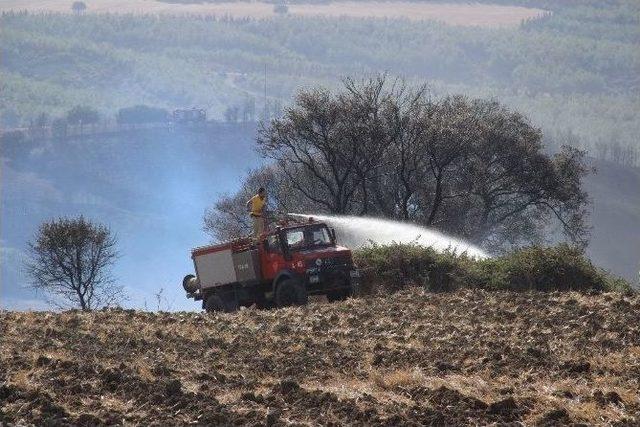 Çanakkale’deki Orman Yangını Söndürüldü