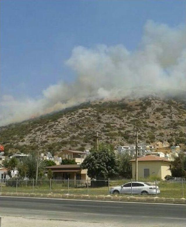 Kuşadası’nda Zeytinlik Ve Makilik Yangını