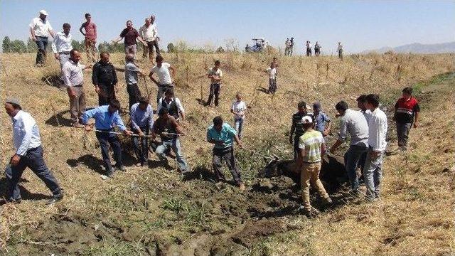 Bataklığa Saplanan Hayvanlar Güçlükle Kurtarıldı