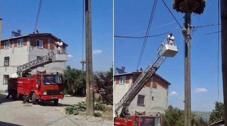 Yaralı Leylek Yavrusu Yuvasına Kavuştu.