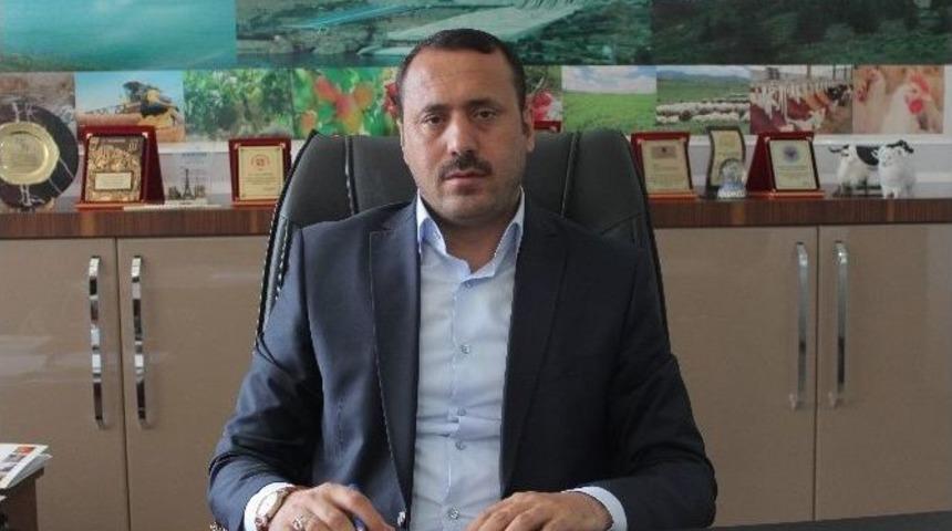 Dolu Elazığ Tarımına 54 Milyon Tl Zarar Verdi