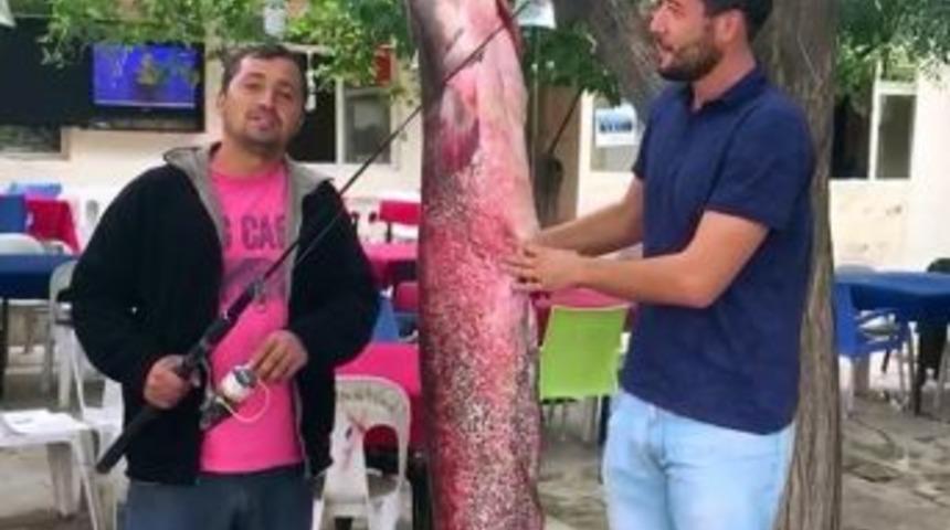2 Metre Boyunda Dev Yayını Olta İle Yakaladılar