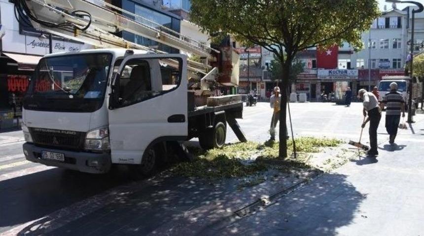 D&uuml;zce&rsquo;de Ağa&ccedil;lara Peyzaj Bakımı Yapıldı