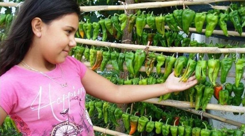 Evlerde Kış Hazırlıkları Başladı